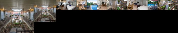 Frenchmen Orleans 519