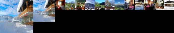 Chalet-Hotel du Borderan