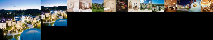 Grand Hotel Sava Superior