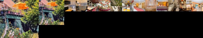 Ann Arbor Bed and Breakfast