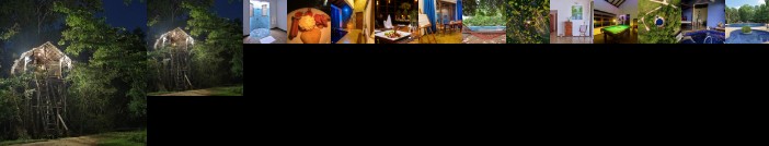 The Elephant Corridor Hotel