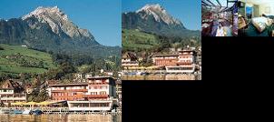 Swiss Quality Seehotel Belvedere Hergiswil