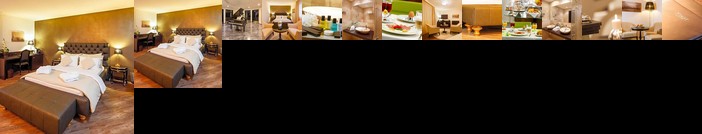 Business Hotel First