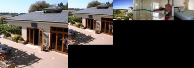 Morning Sun Vineyard