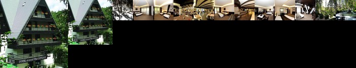 Hotel Smart Sinaia