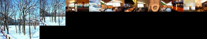 Furano Hotel