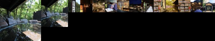 Yufuin Ryoan Wazanho