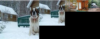 Chalets-Camping Domaine des Dunes