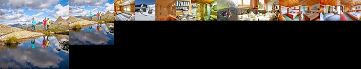 Hotel Der Silbertaler