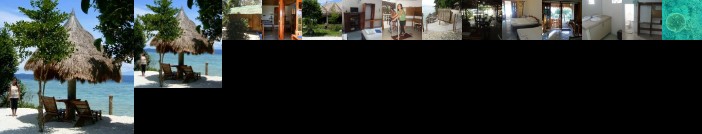 Sea Turtle House Moalboal