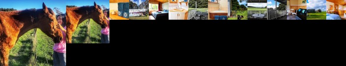 Twelve Apostles Motel & Country Retreat