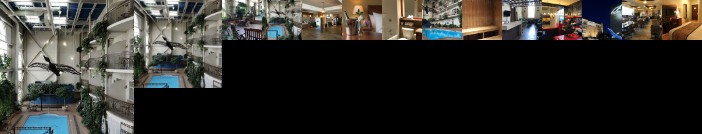 Hotel L'Oiseliere Levis