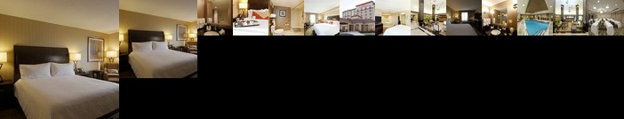 Hilton Garden Inn Toronto/Brampton
