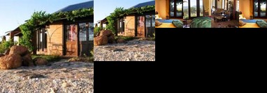 Kangaroos In The Top Paddock