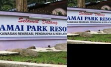 Damai Park Resort