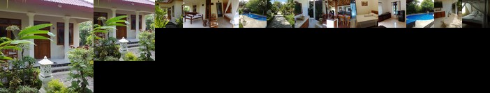 Starlight Hotel Lovina