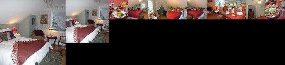 Tea Cozy Bed & Breakfast