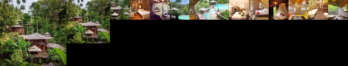 Fig Tree Hill Resort