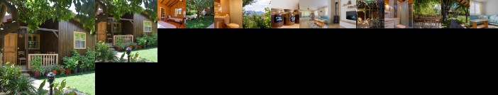 Caretta Caretta Pension