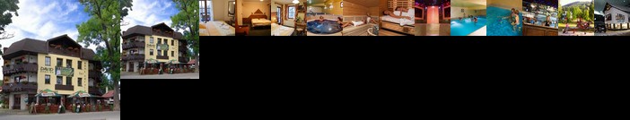 David Wellness Hotel