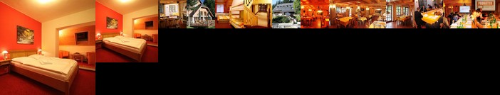 Horsky Hotel Vidly