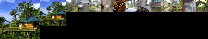 Kaivalyam Wellness Retreat