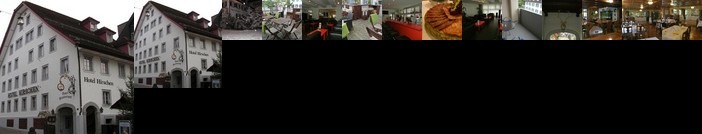 Hotel zum Hirschen Kussnacht am Rigi