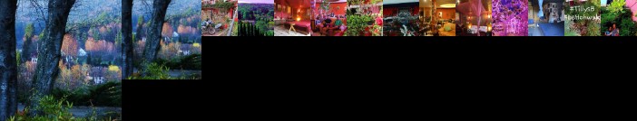 Tilly's B&B and apartment house