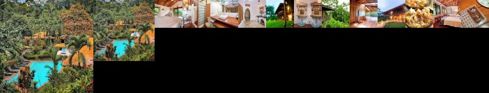 Finca Luna Nueva Lodge