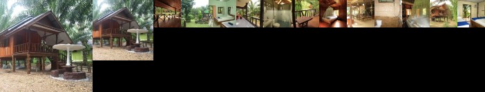 Khao Sok Palmview Resort