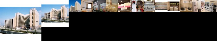 Toyoko Inn Chubu International Airport No 1