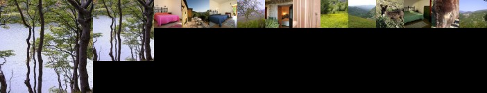 B&B Podere Bramapane