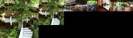 Bunaken Cha Cha Nature Resort