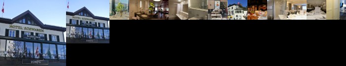 Hotel Schwanen