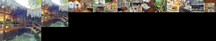 Cariblue Beach & Jungle Resort