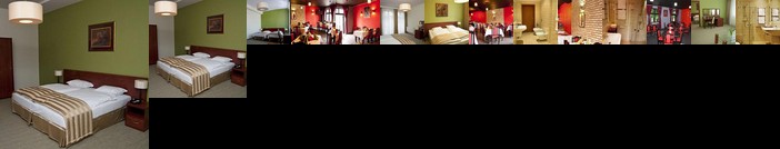 Hotel Vis a Vis Lancut