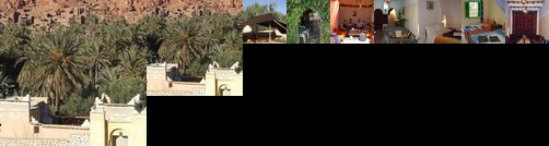 Palmeraie Guest House