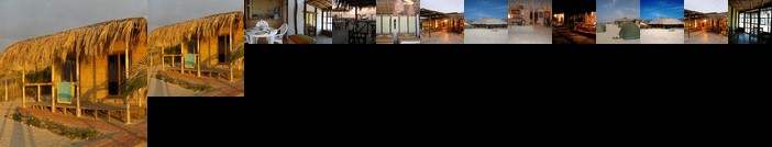 Waltako Beach Culture