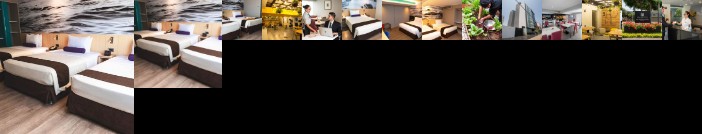 Palmetto Hotel Business San Borja