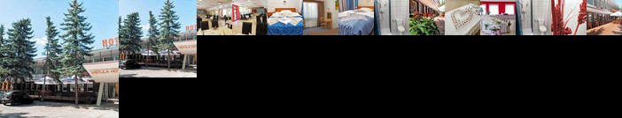 Vistula Hotel