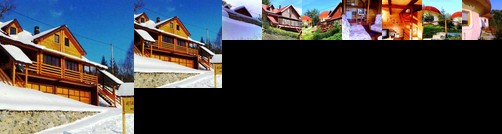 Art Apartments Minic