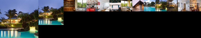 Royal Palm Galapagos