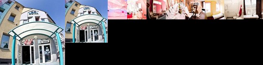 Hotel Restauracja Witnica