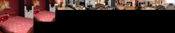 BS Business Travelling