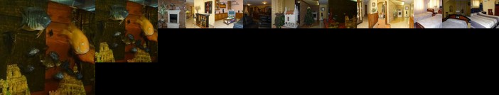 Hotel Francisco Javier