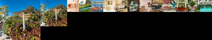 The Marlin at Taino Beach Resort & Clubs