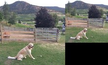 Vista Ranch Bed & Breakfast