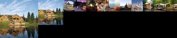 Sepaq Laurentides Wildlife Bear Watching