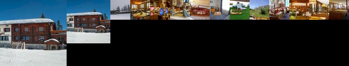 Berghotel Alpina am Pizol