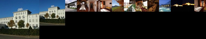 Hostellerie Le Castel